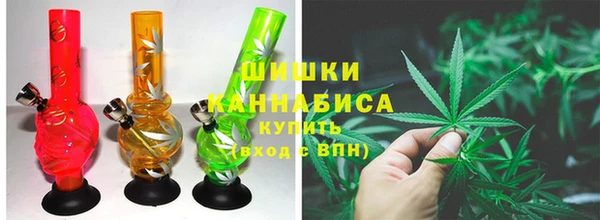 индика Алзамай