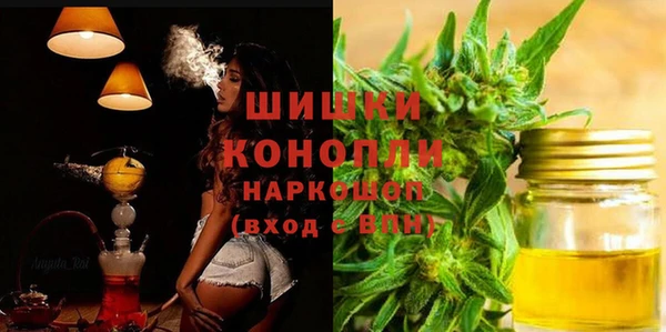 индика Алзамай