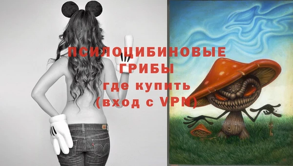 apvp Алексеевка