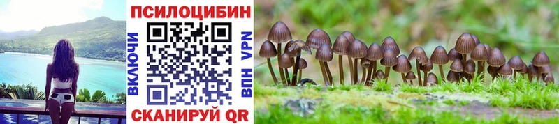 Псилоцибиновые грибы Magic Shrooms Александровское